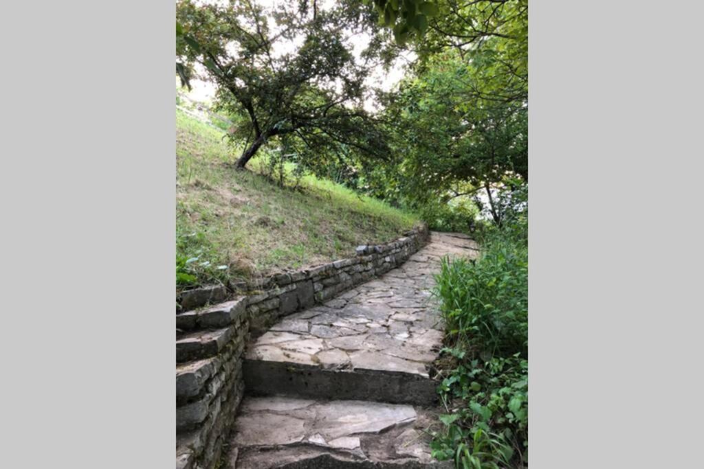 Villa Kornelija Stari Slankamen Екстериор снимка