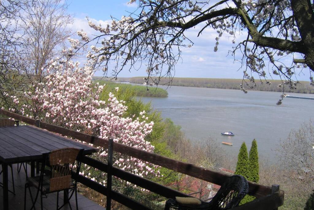 Villa Kornelija Stari Slankamen Екстериор снимка