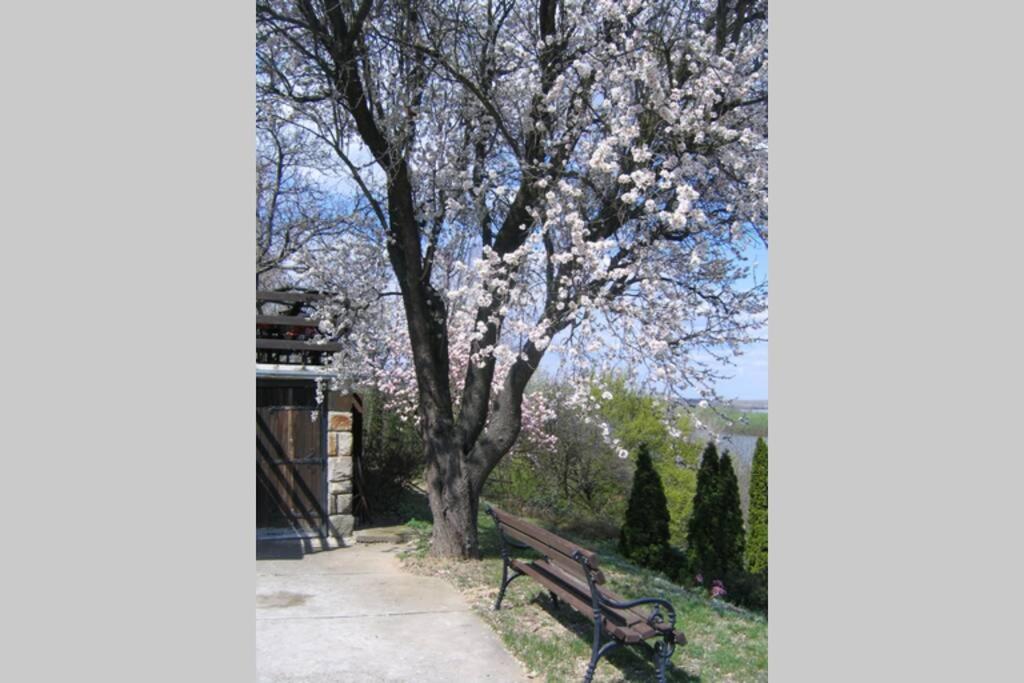 Villa Kornelija Stari Slankamen Екстериор снимка
